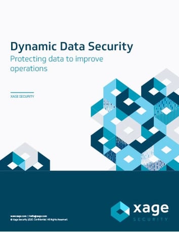 resource_0011_Dynamic Data Security